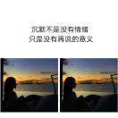 玫瑰煮酒