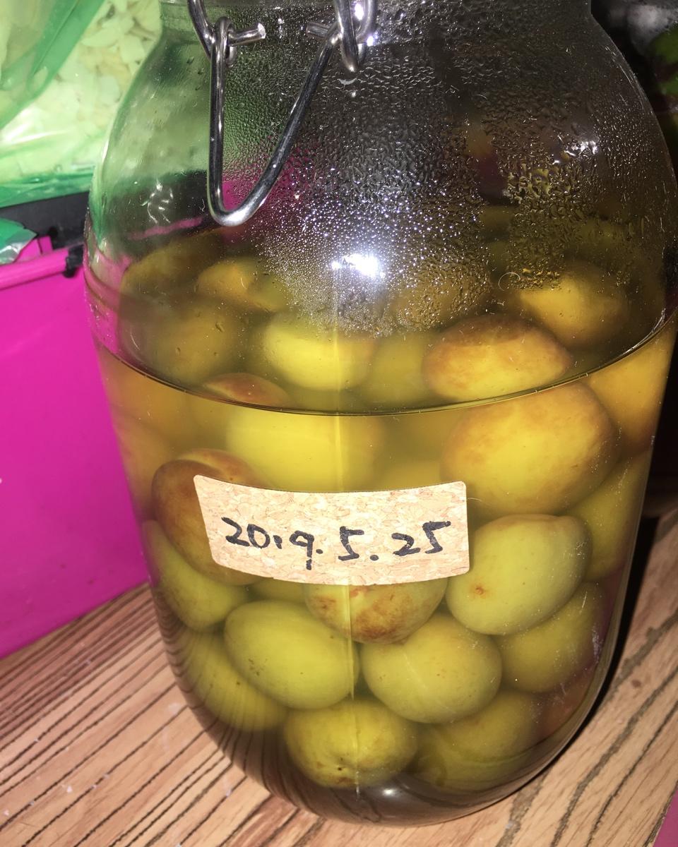 自酿超好喝的青梅酒/梅子酒
