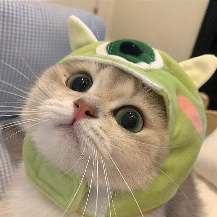 朋友看手相吗