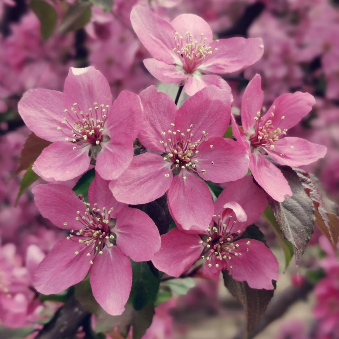 爱喝水的大石头