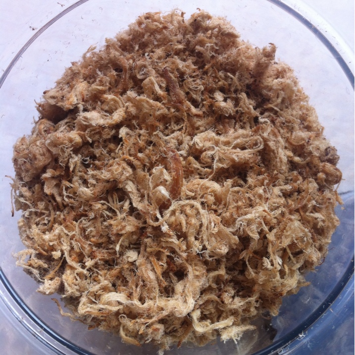 家庭自制肉松（非面包机版）