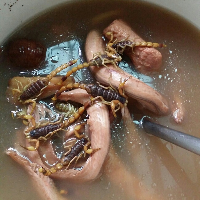 土茯苓水蛇蝎子汤的做法