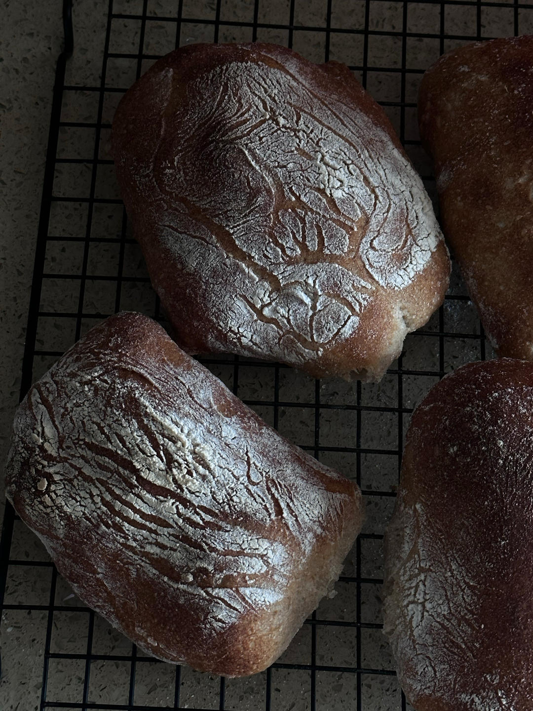 恰巴塔面包  Ciabatta