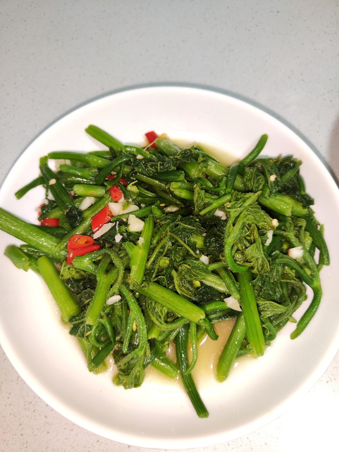 清炒南瓜藤，拿肉都不换