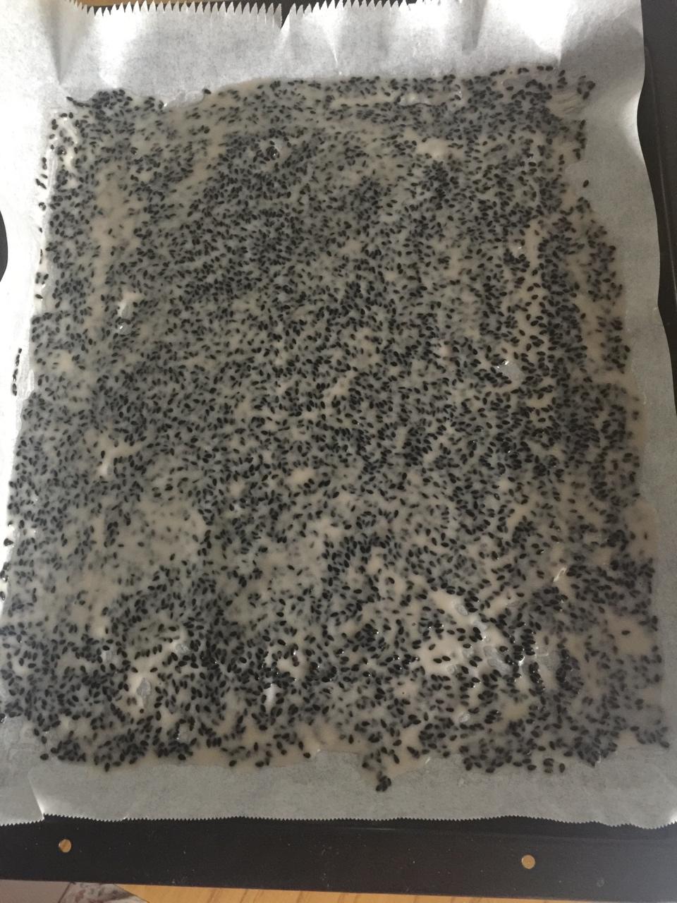 芝麻脆饼 饼干