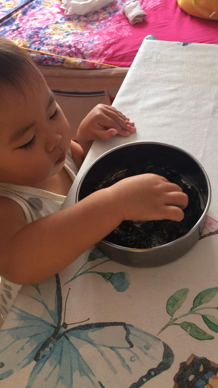 自制宝宝海苔