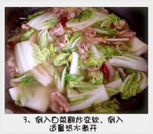 猪肉白菜炖粉条的做法 步骤3