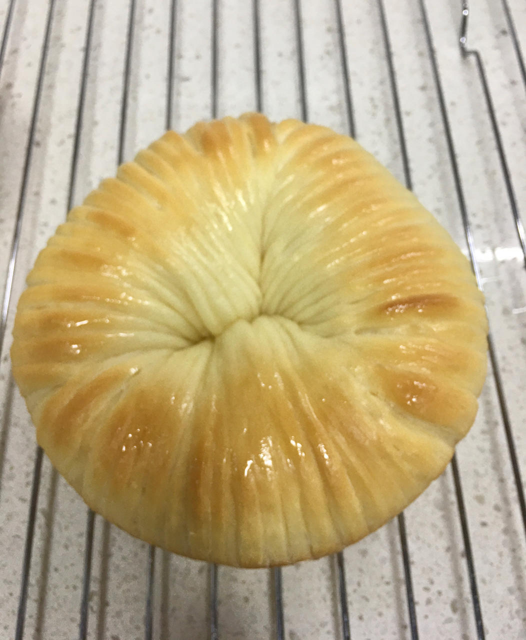 🔥一次成功🔥最近爆火的毛线球面包