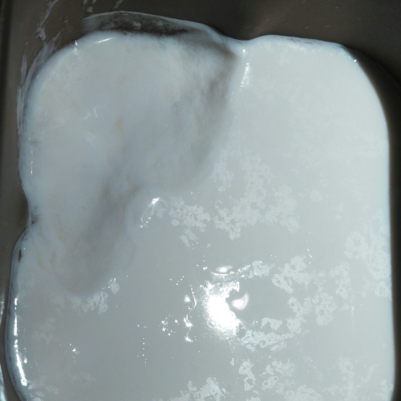 自制酸奶