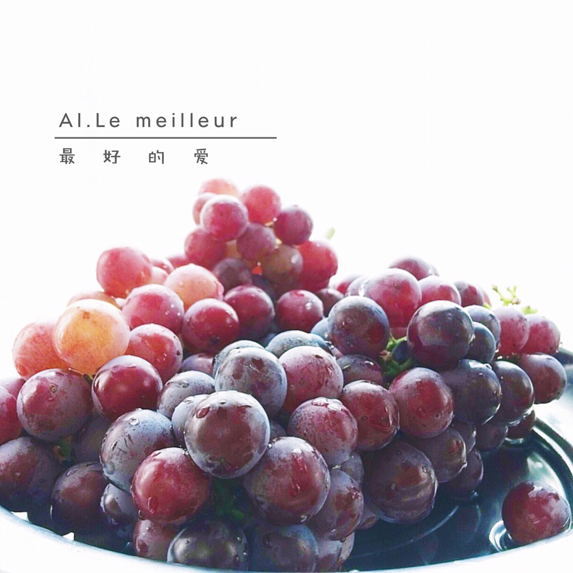 AI.Le meilleur |最好的爱