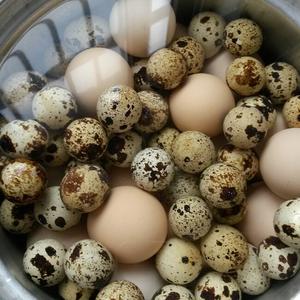 五香蛋蛋的做法 步骤2