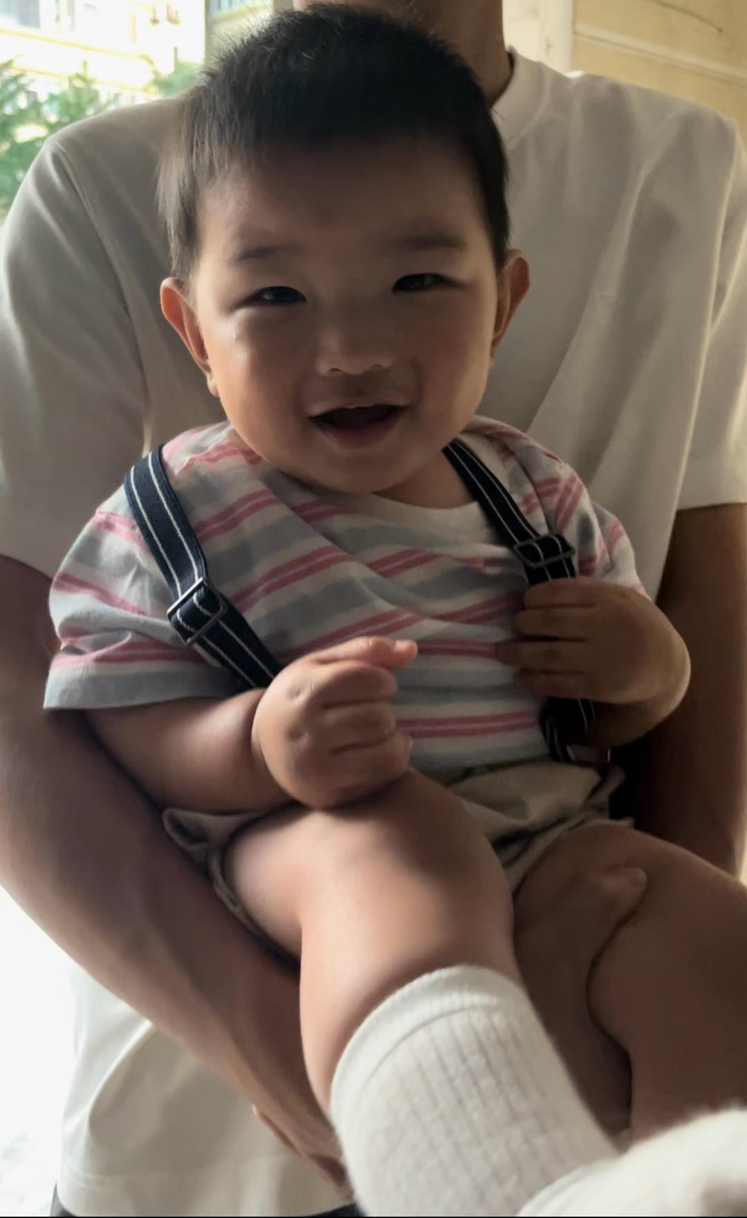 葱烧豆腐