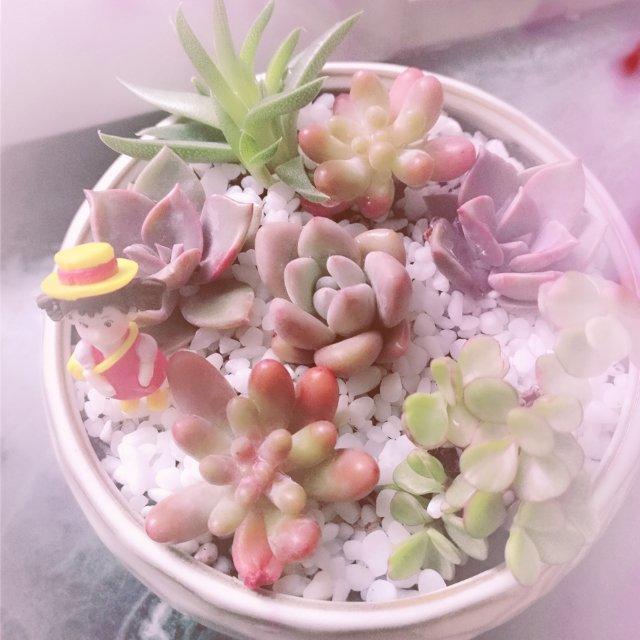 爱做美食的吃货qing