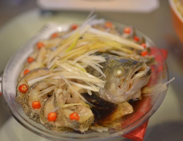 孔雀开屏鱼