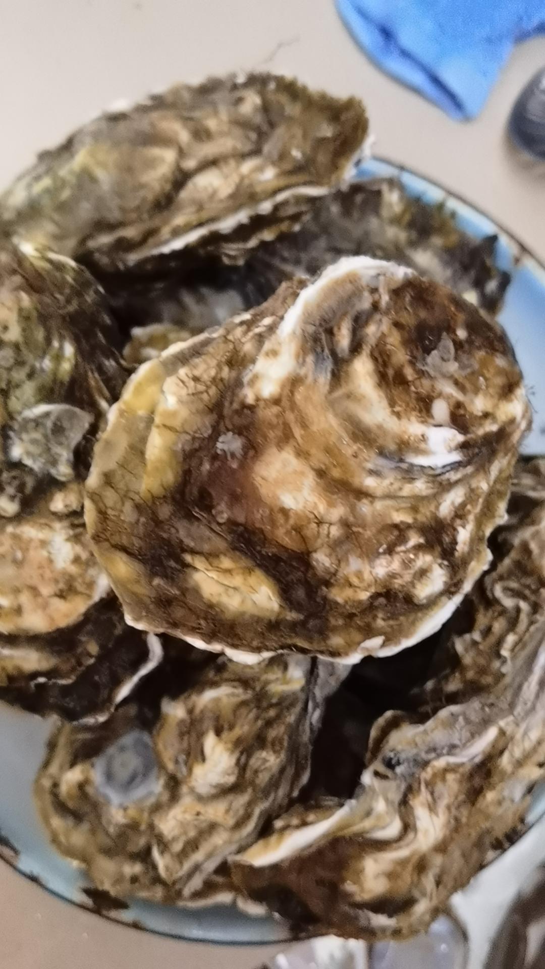 简单3分钟蒸生蚝🦪