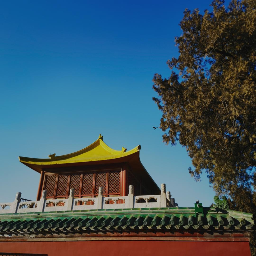 控糖的小蛋糕儿