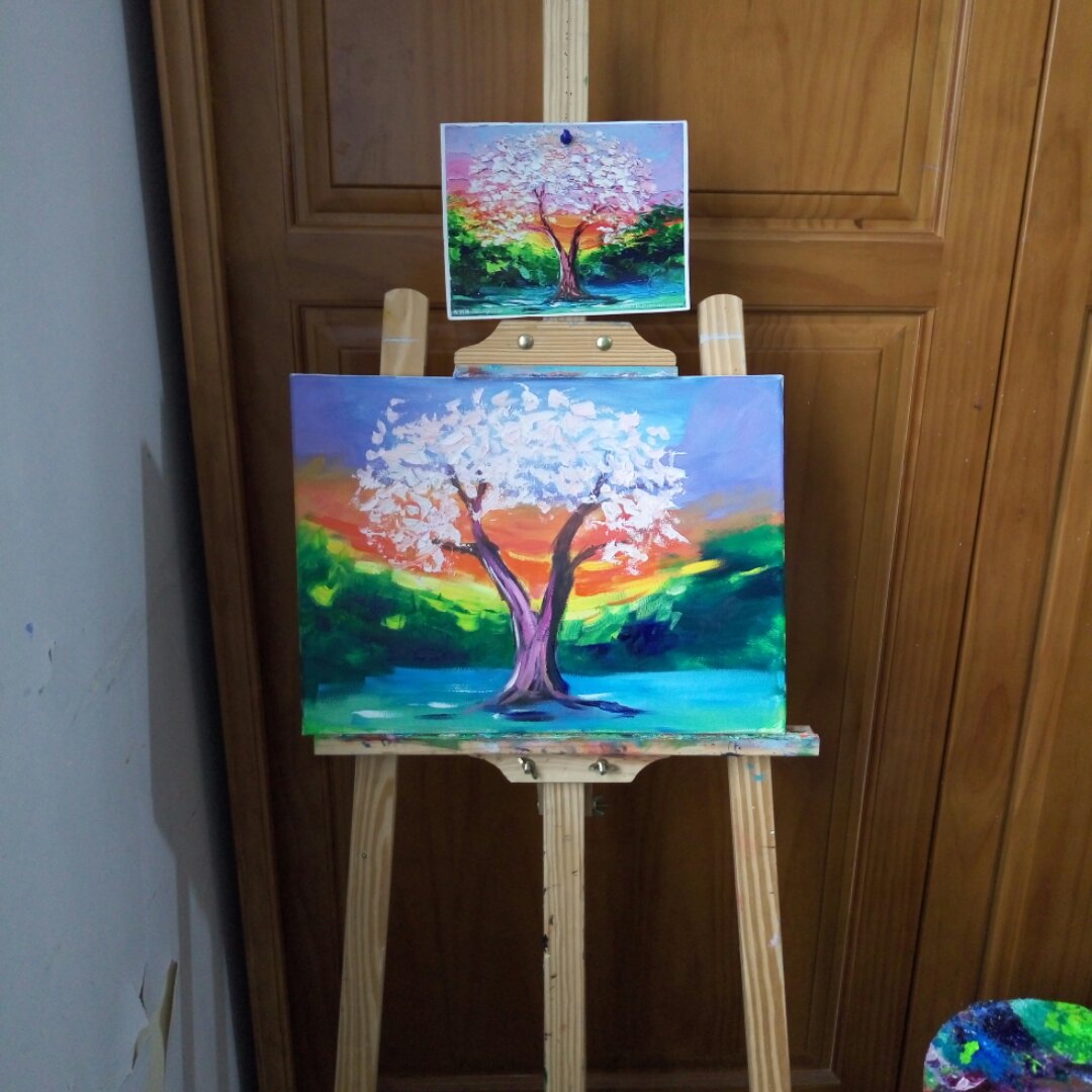 梅西爱下厨不爱吃