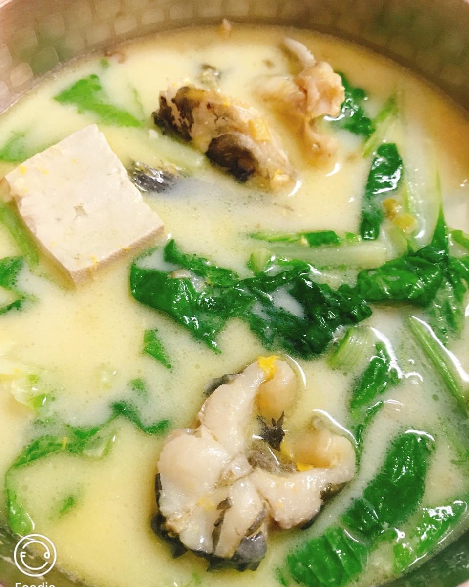 黄骨鱼豆腐汤