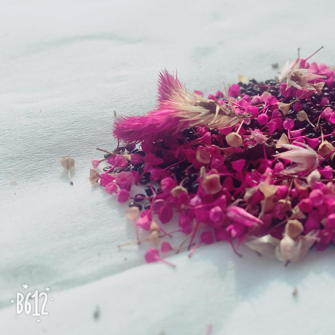 我最爱的芝士