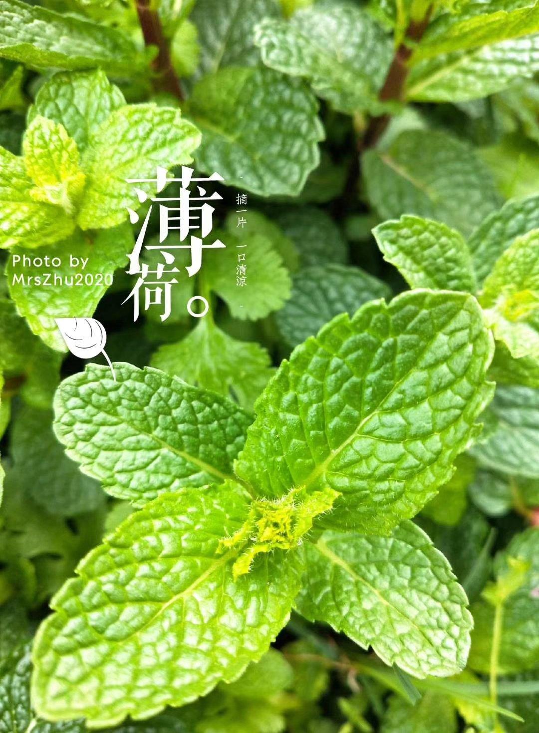 记录烘焙美食