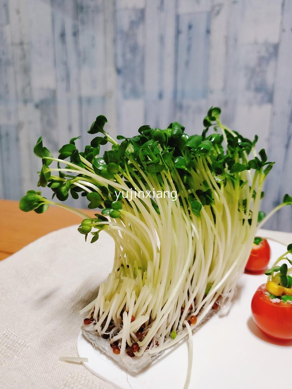 🌸圣女果沙拉盅－把春天吃到嘴里！一口一个健康🌸的做法 步骤5