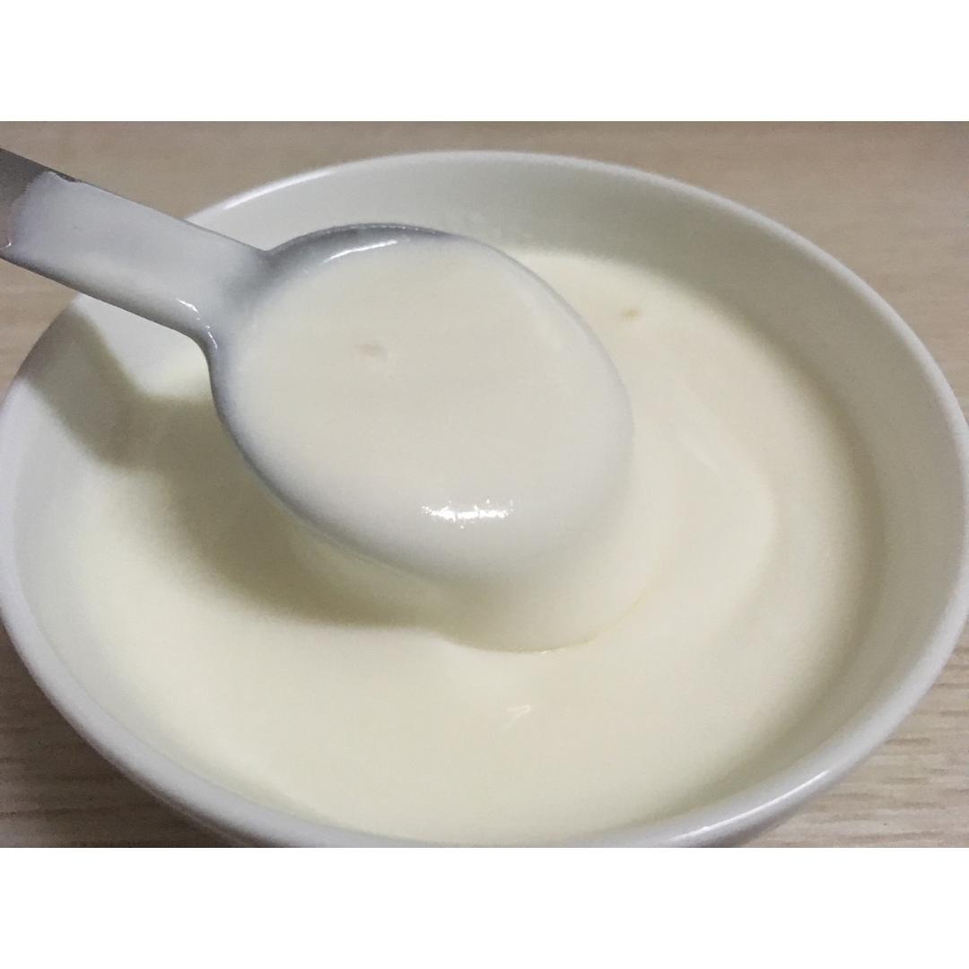 自制酸奶