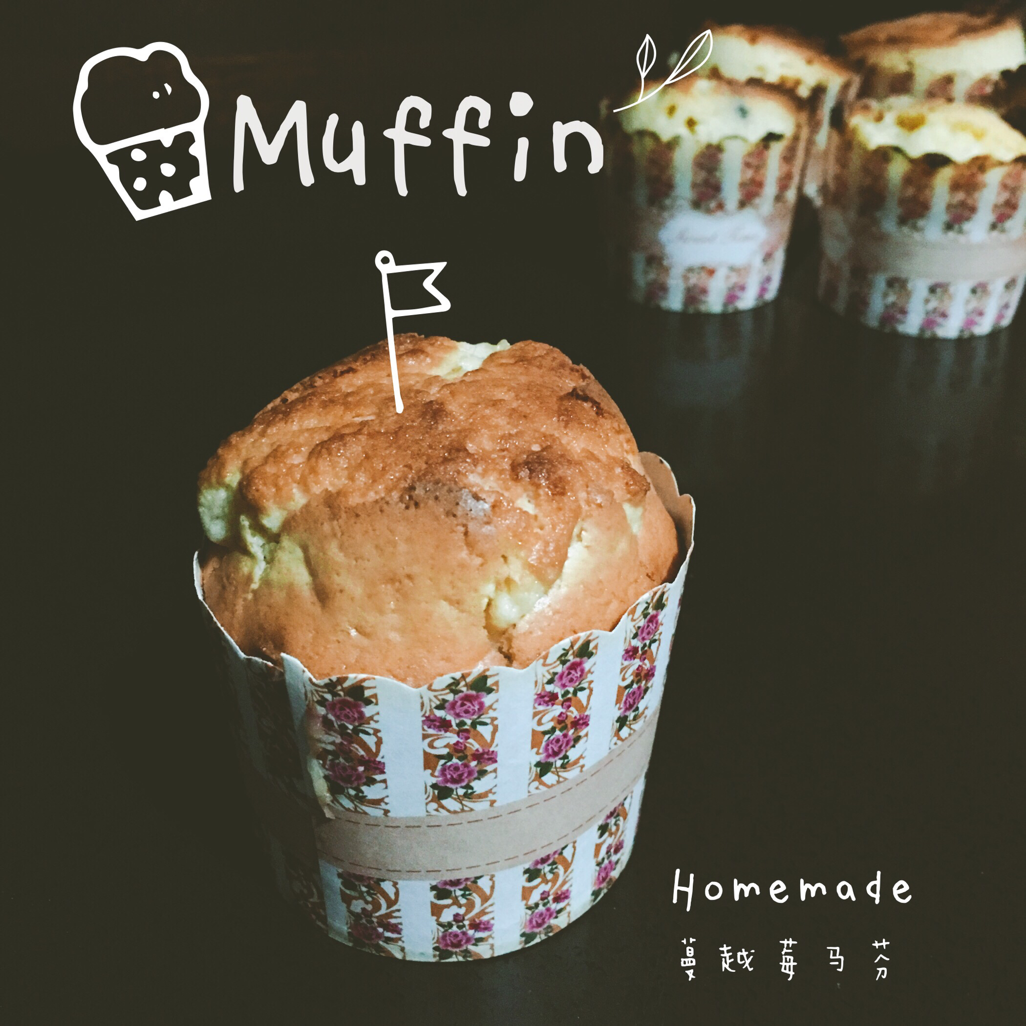 预拌粉巧克力马芬Schoko Muffins