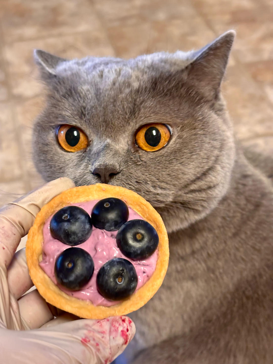 精致下午茶！蓝莓乳酪挞！