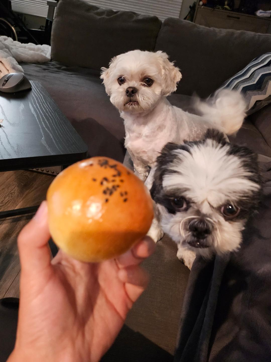 放3天也一样柔软的豆沙小餐包，好吃到哭