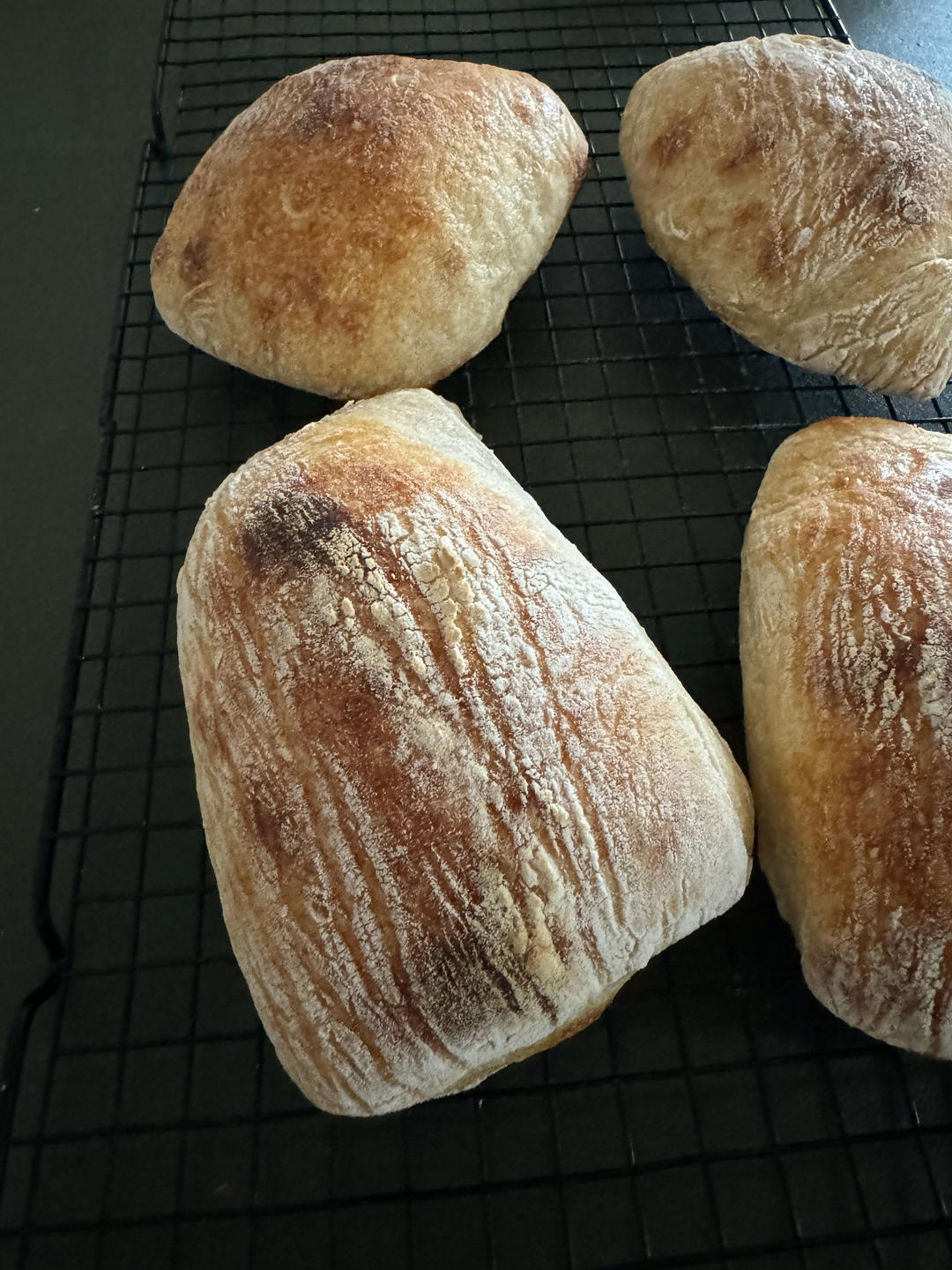鲁邦种冷藏隔夜法恰巴塔Ciabatta（练习记录）
