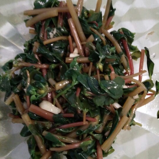 凉拌马马菜（凉拌马齿苋）