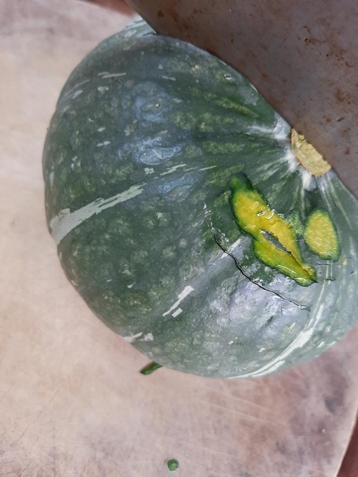 烤箱版贝贝南瓜