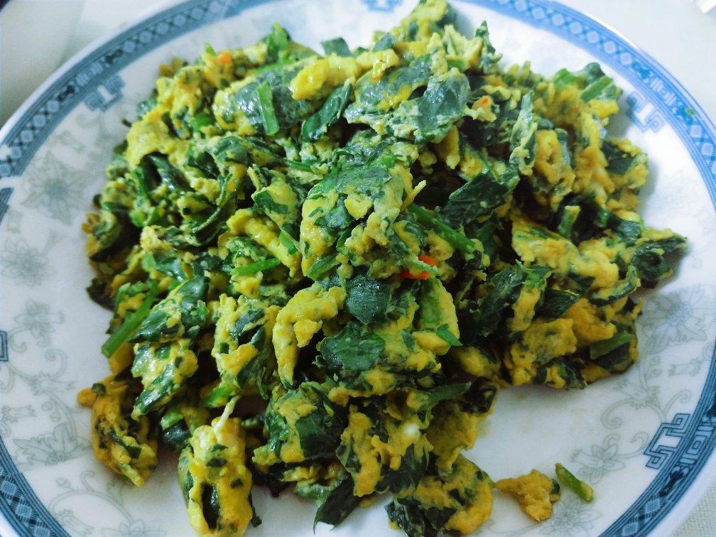 芹菜叶炒鸡蛋