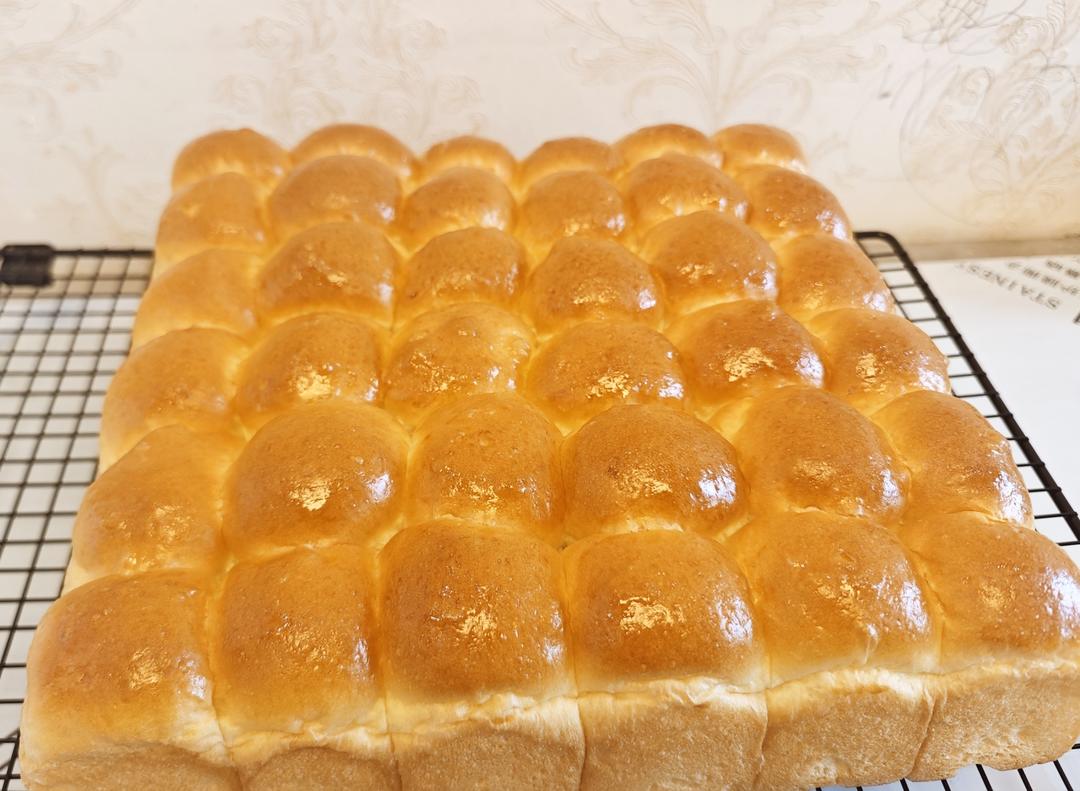 波兰种奶香黄油小餐包
