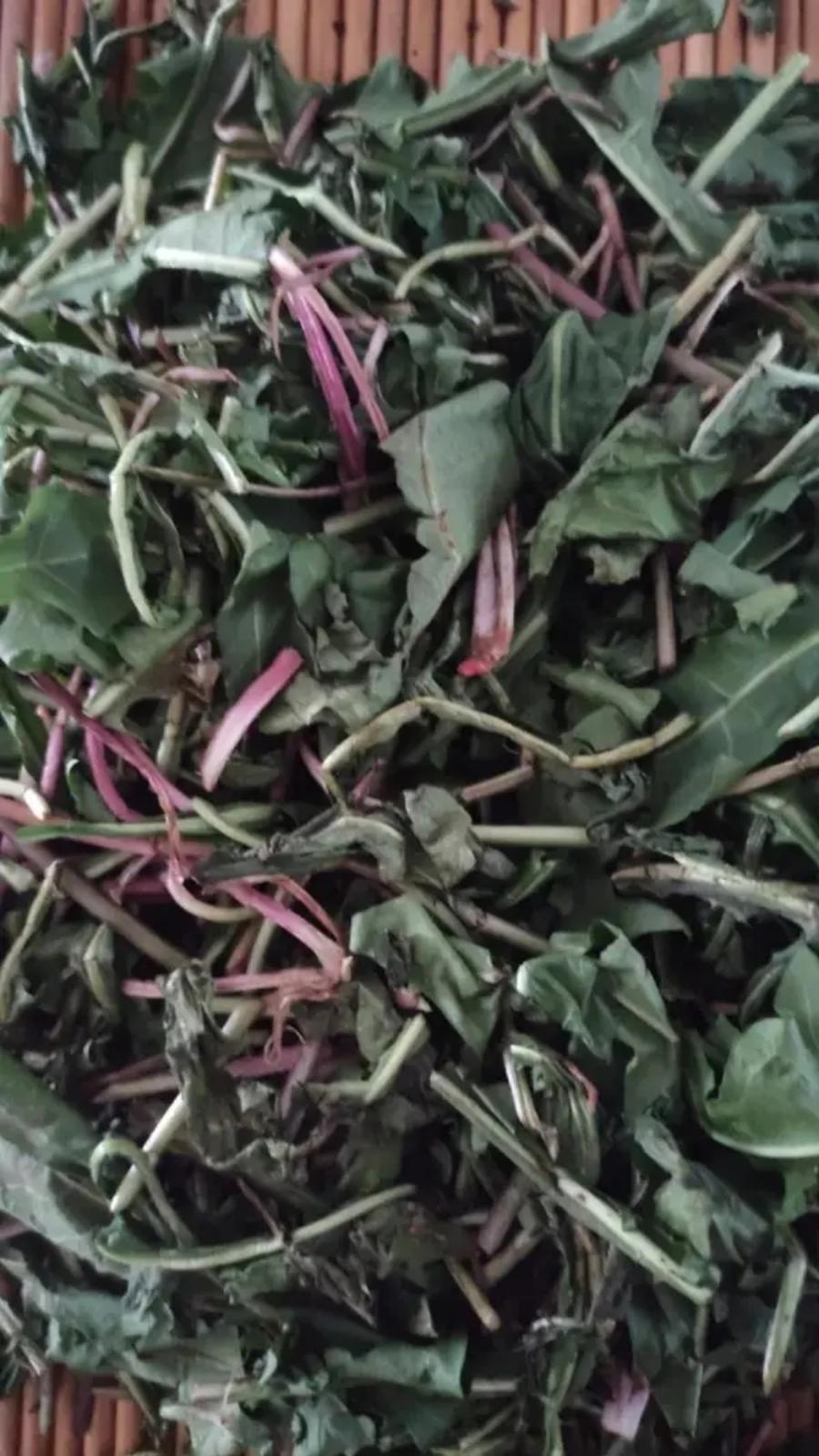 蒲公英茶