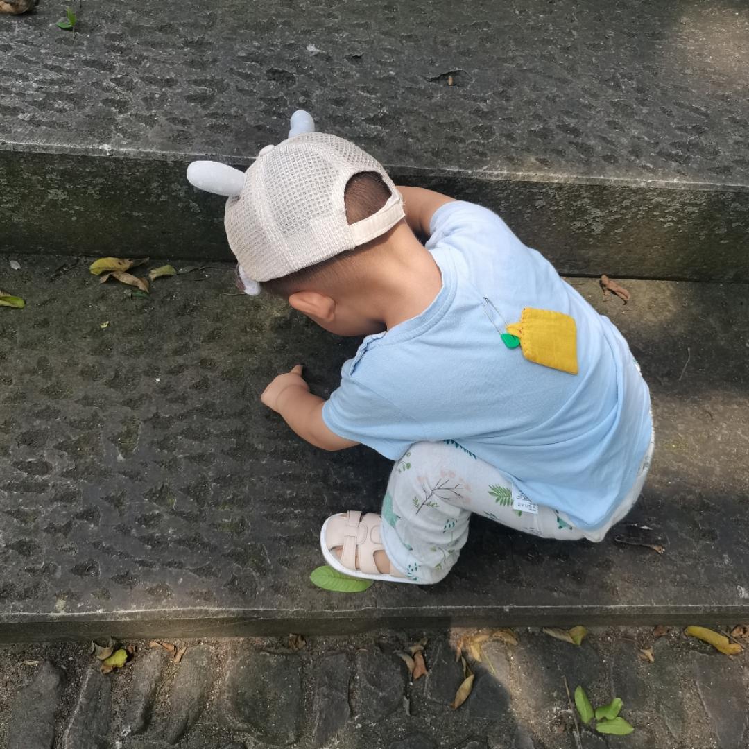 微小小小小胖丸子