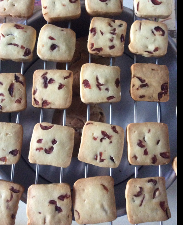 蔓越莓饼干