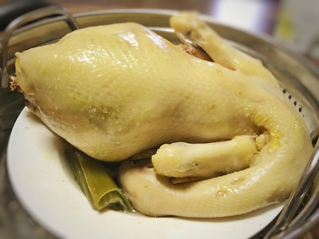 珍妮丁做的水蒸鸡
