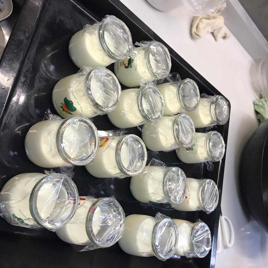 醇香浓郁自制酸奶 消耗淡奶油配方