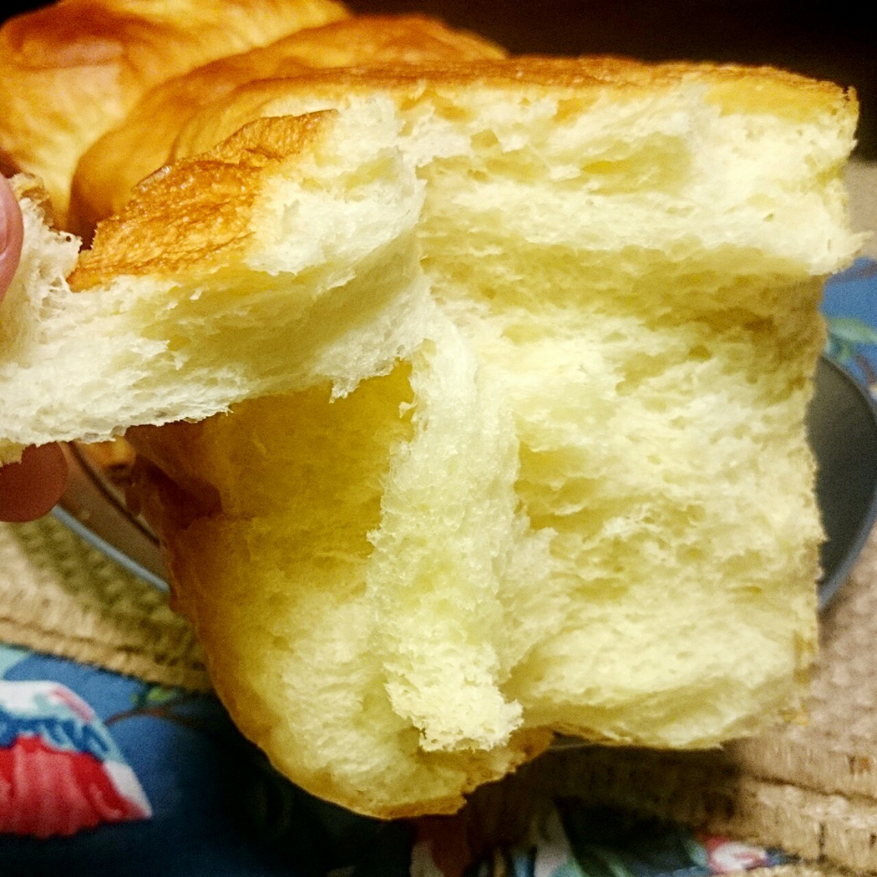 夺命软吐司(๑´ڡ`๑)超软拉丝极速方便的一次发酵吐司