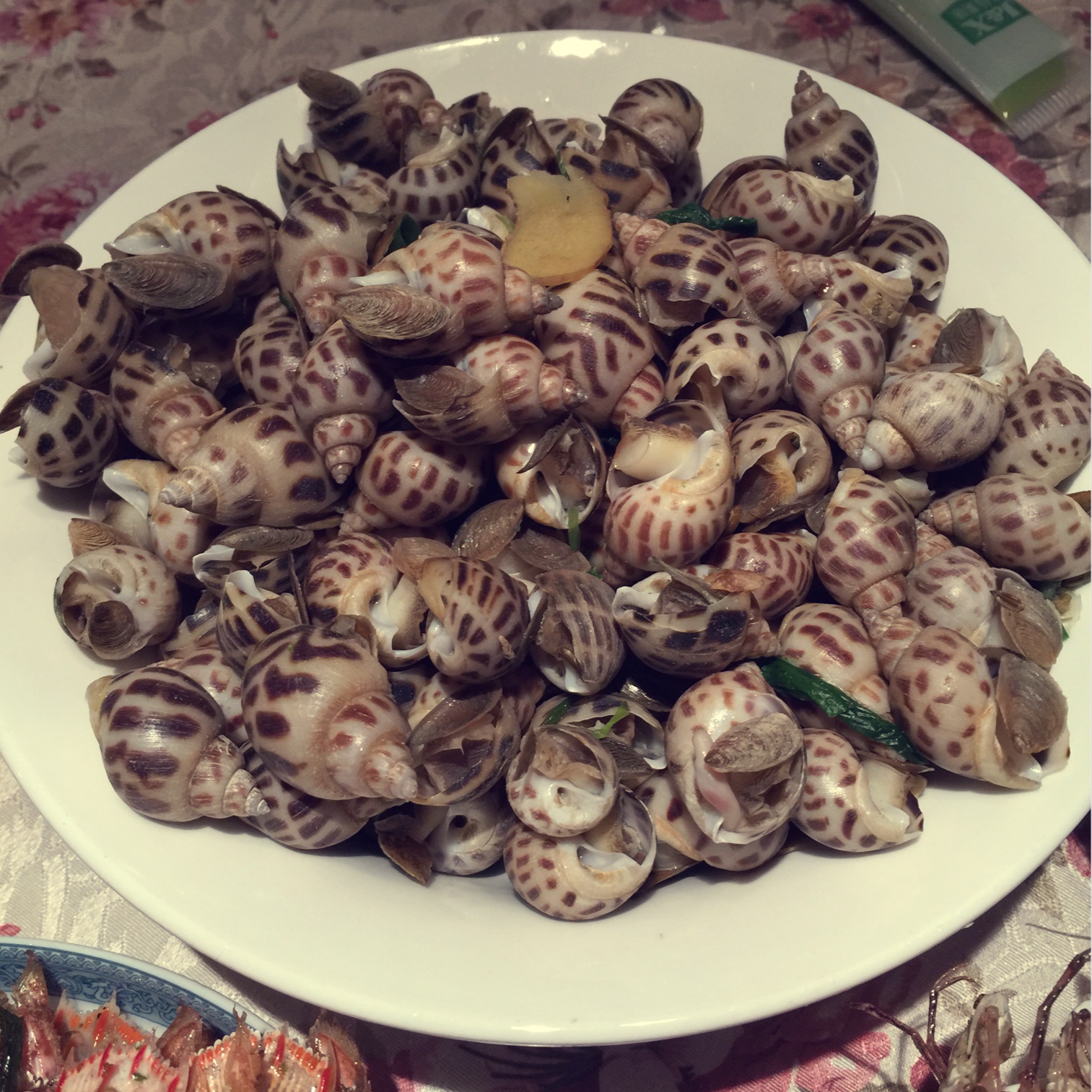 白灼花螺