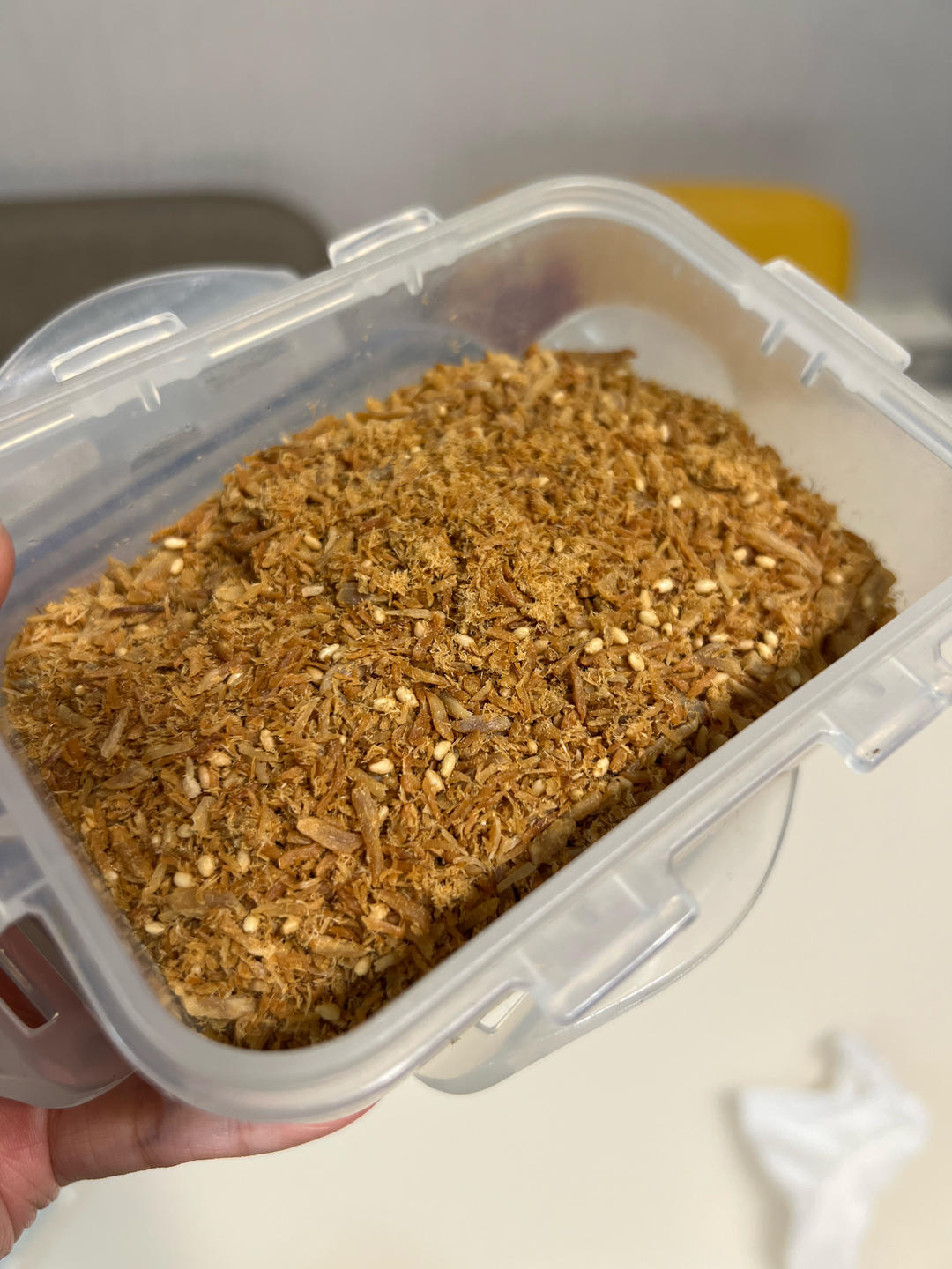 自制肉松（厨师机、烤箱版)