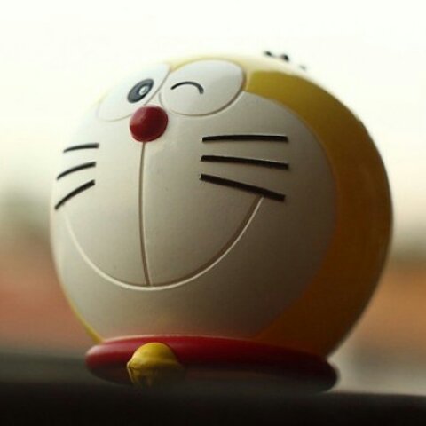 猕猴桃不是孙悟空