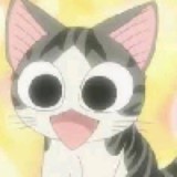 伟大的猫先生