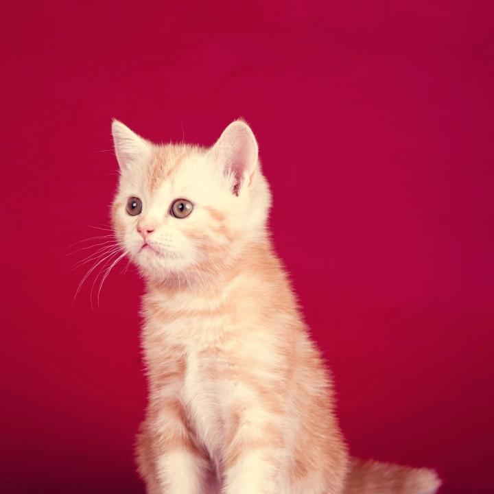 活动老学到老学不了