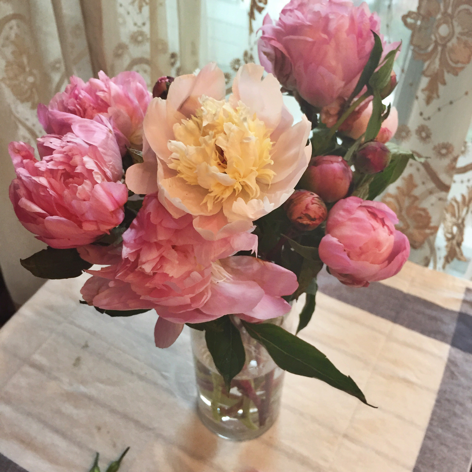 blue star少女杂货铺