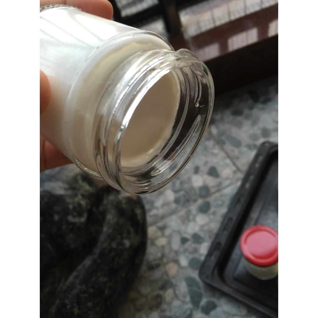 自制特浓酸奶