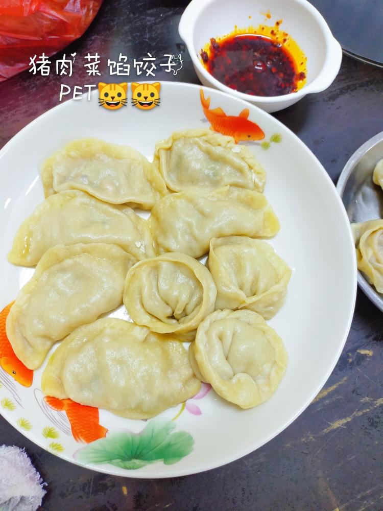 猪肉菜馅饺子的做法