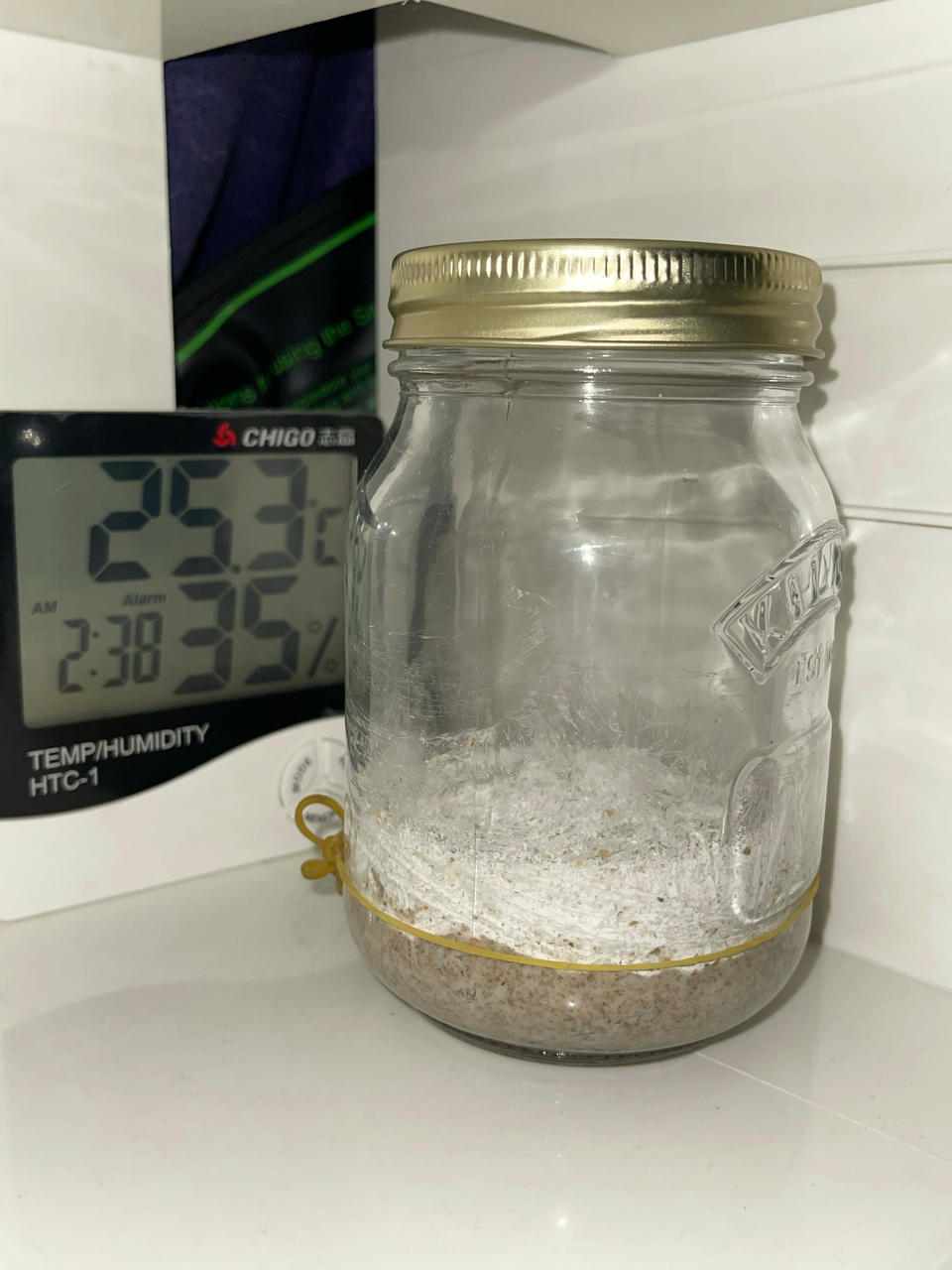 天然酵种、鲁邦种         （黑裸麦起种）
