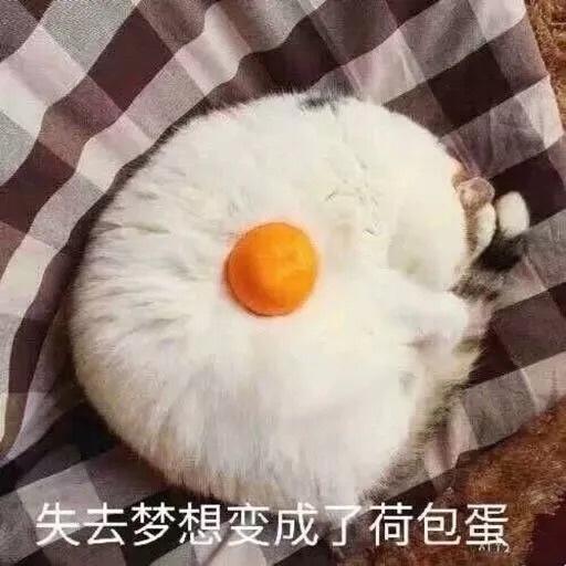 神厨小福贵四川分贵